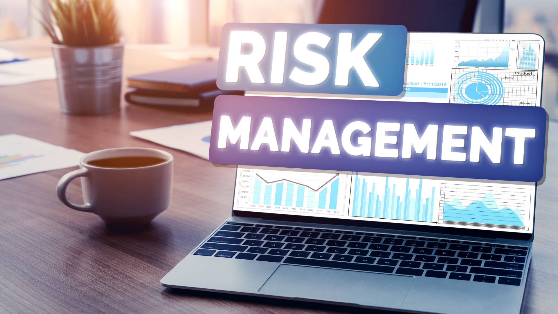 benefits of using software development for insurance: risk management