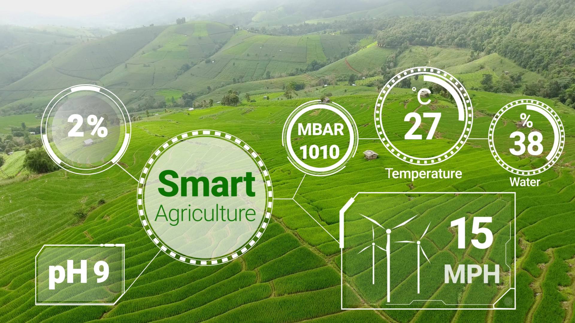 IoT application in smart agricultural