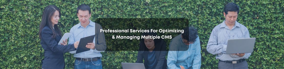CMS Solutions for a Field Service Software Company – UK